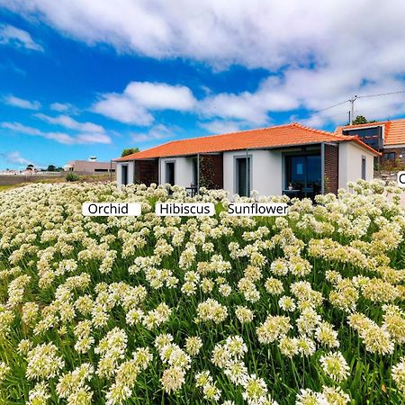 Apartamento Ourmadeira - Quinta Inacia, Countryside Escape Calheta  Exterior foto