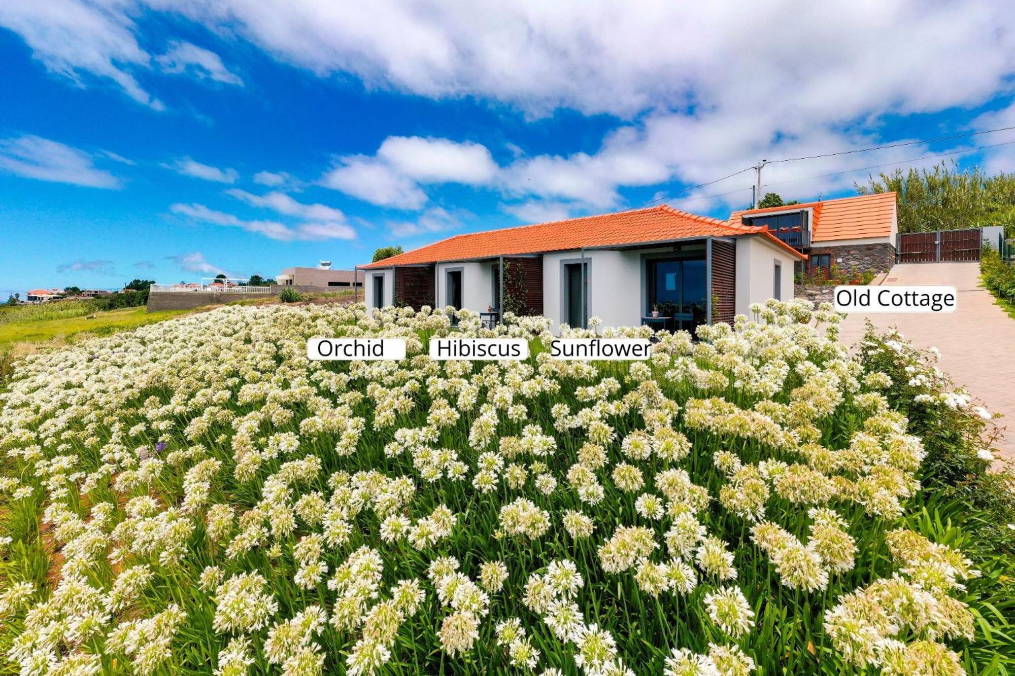 Apartamento Ourmadeira - Quinta Inacia, Countryside Escape Calheta  Exterior foto